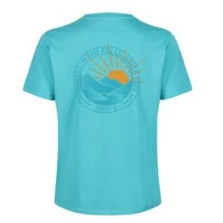 Inov-8 Womens 2003 Graphic SS Tee -Pete Bland Sports w 2003 graphic ss tee teal 4